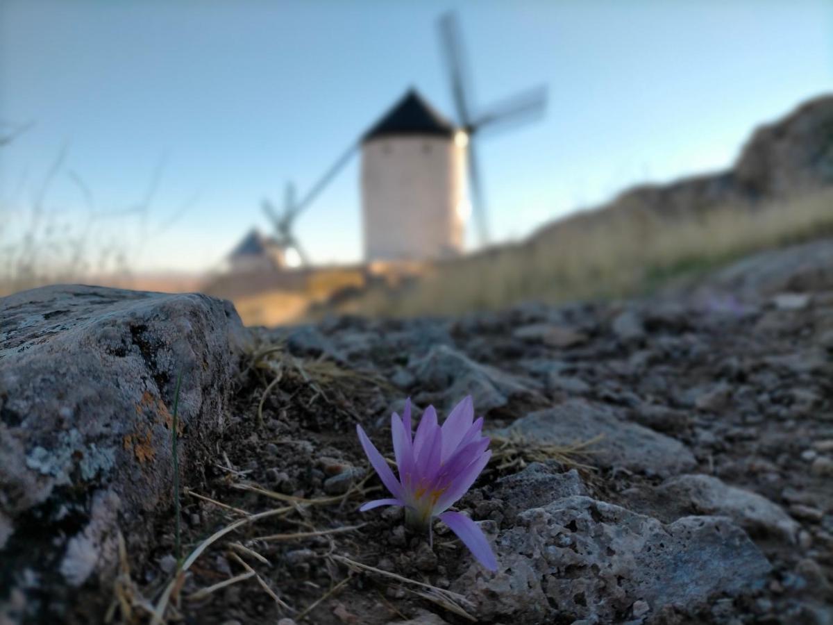 Pensjonat Azafran Consuegra Zewnętrze zdjęcie